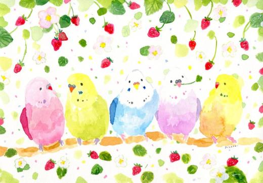 鳥がみている空 -インコたちのおしゃべり-