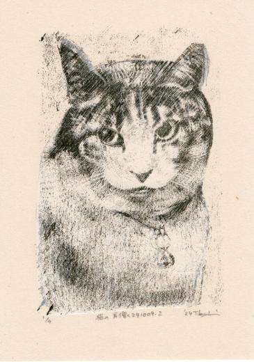 猫の肖像 241009-2