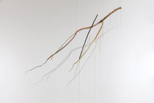 La voie lacte