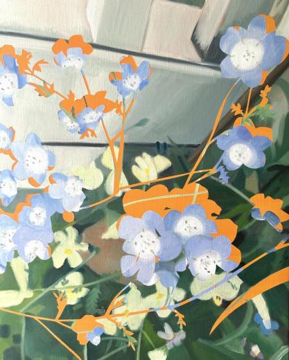 Nemophila