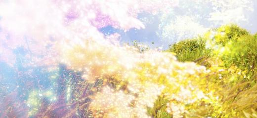 FIELD OF SEASONS