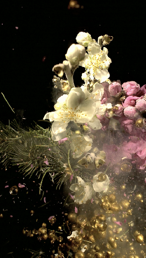 月の花