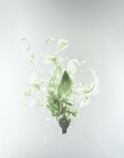 series Cryofloral II