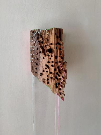?toile