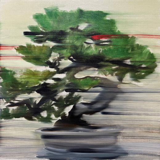 Pine 3