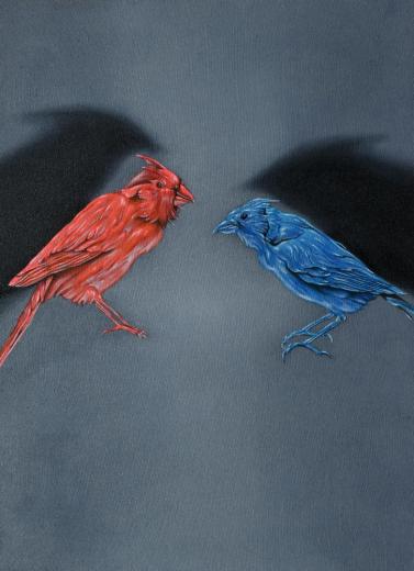 鳥類 1