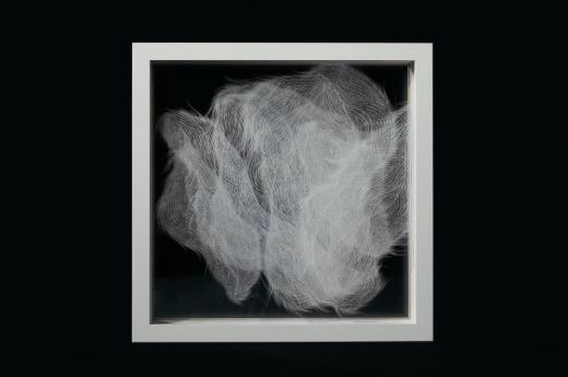 coccon_4