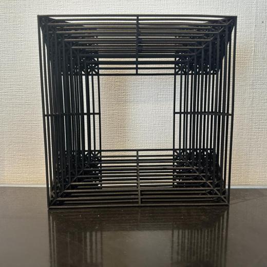 Black Sculpture □