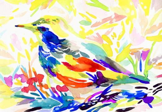 鳥がみている空 -summer-