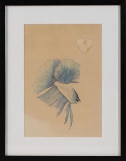 糖魚 BlueBetta-Love #1