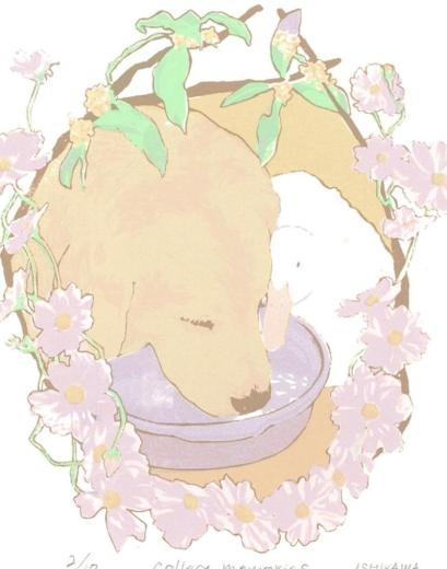 collect memories -autumn-
