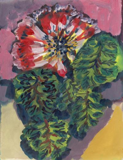 Red Flower 20241209