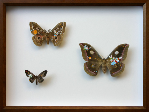 Collection(5608)