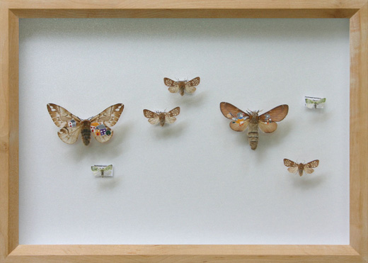 Collection(1508)