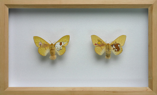 Collection(0508)