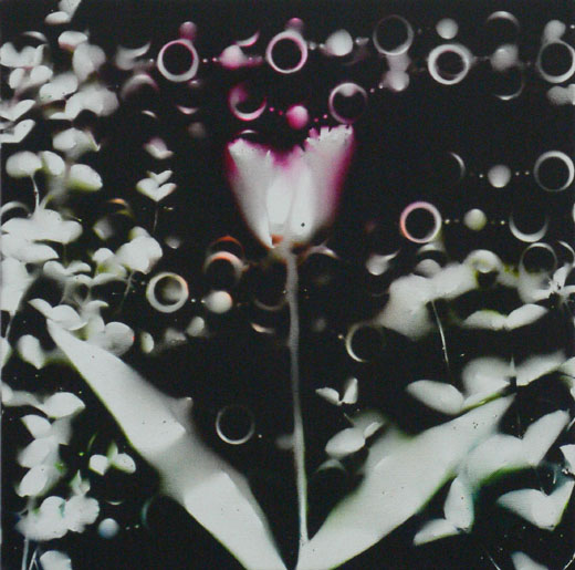 無題(FL.4s - 27)