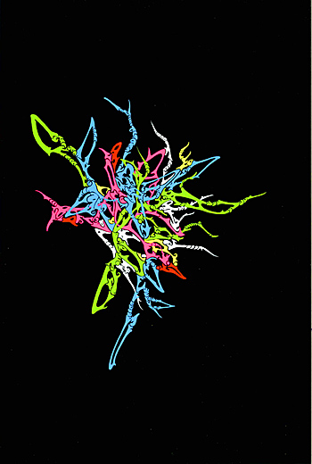 300201070