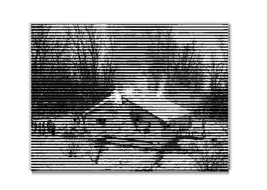 halfandhalf_no3