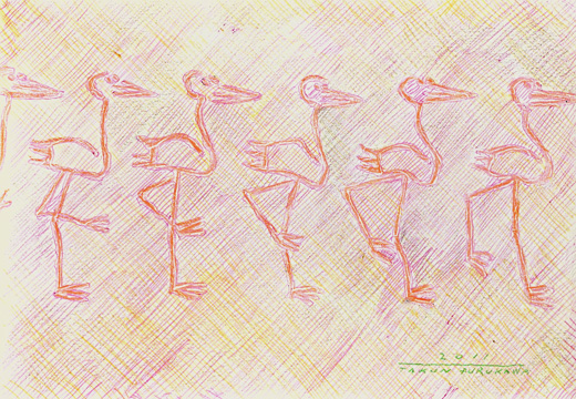 FLAMINGO WALKING