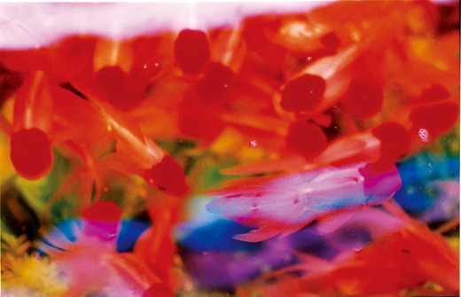 Liquid Dreams-21 (97.0×145.6cm)