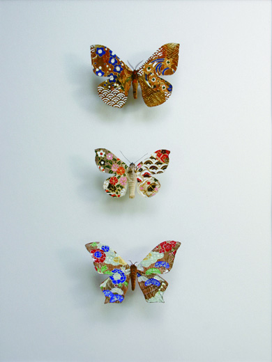 collection