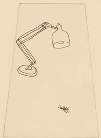 untitled (5)
