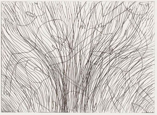 untitled (15)