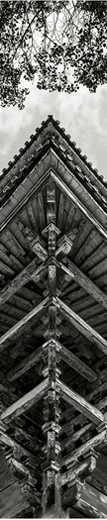 東大寺南門　大仏様
