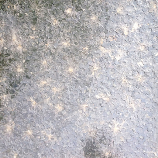 Untitled 1843 0911 2013