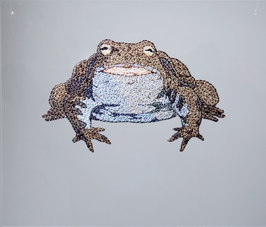 カエル