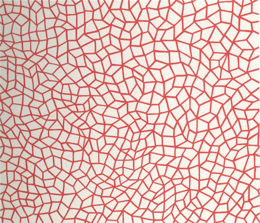 Infinity Nets　(76)