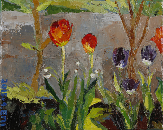 Tulip