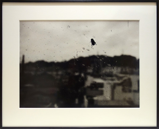 Suwa Nagano 1982