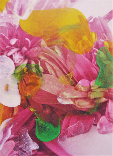 flowers no.1