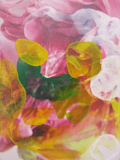 flowers no.3