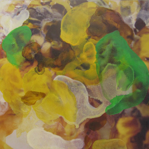 sunflowers no.8