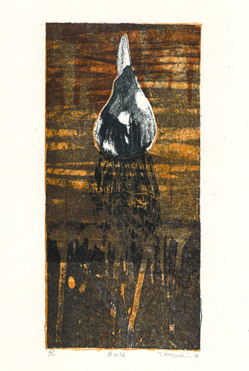 Bulb