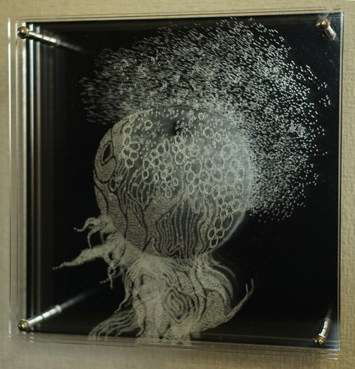 splash 1