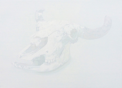 Bison