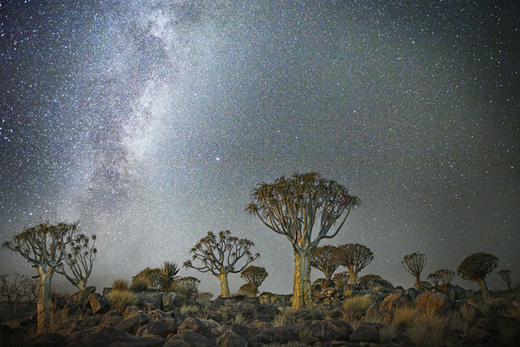 Triangulum (from ANCIENT SKIES, ANCIENT TREES: DIAMOND NIGHTS)