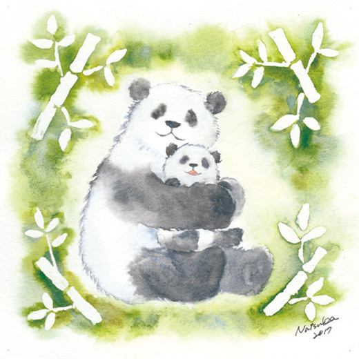 Panda (oyako)