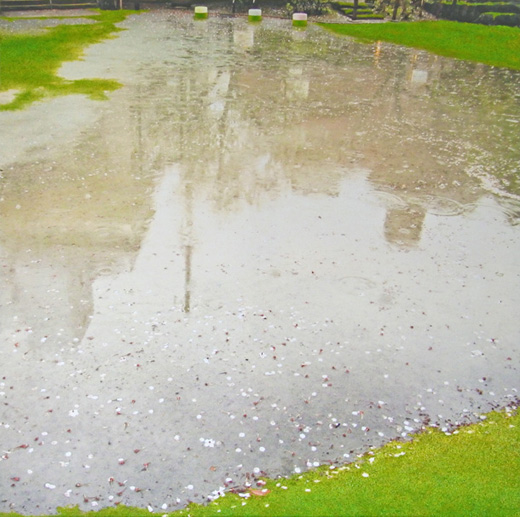 散花の雨II