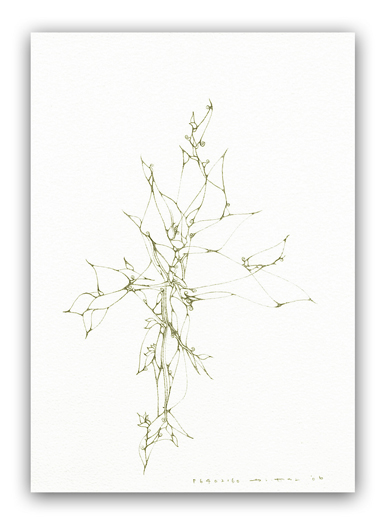 P6402160