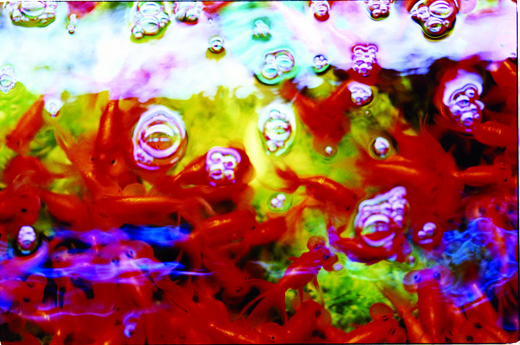 liquid dreams 10 (103×145.6cm)