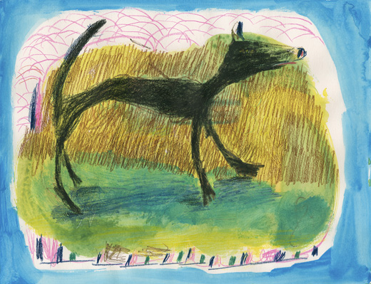 Black Dog 20210410
