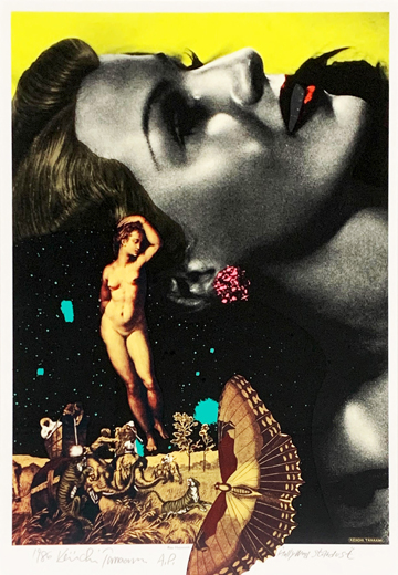 Holly Wood Stardust